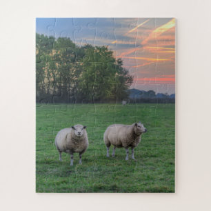 Sheep in Field with Sunset Jigsaw Puzzle