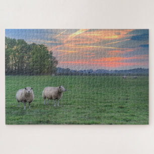 Sheep in Field with Sunset Jigsaw Puzzle