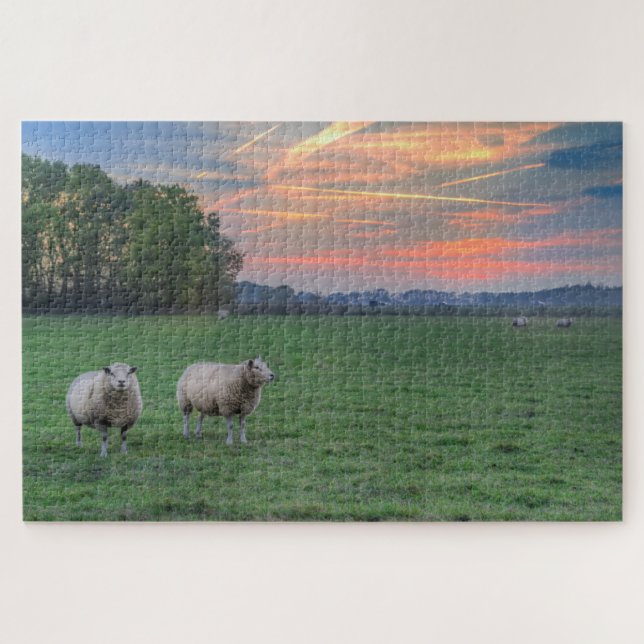 Sheep in Field with Sunset Jigsaw Puzzle (Horizontal)