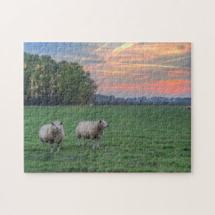 Sheep in Field with Sunset Jigsaw Puzzle