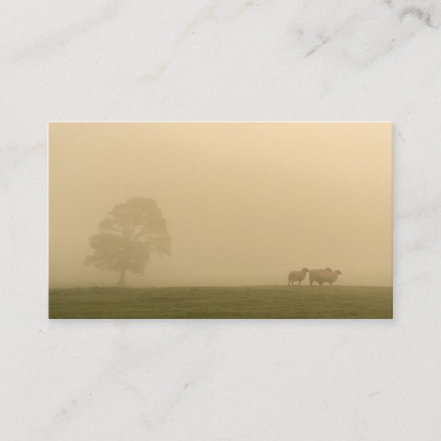 Sheep in Fog Business Card (Front)