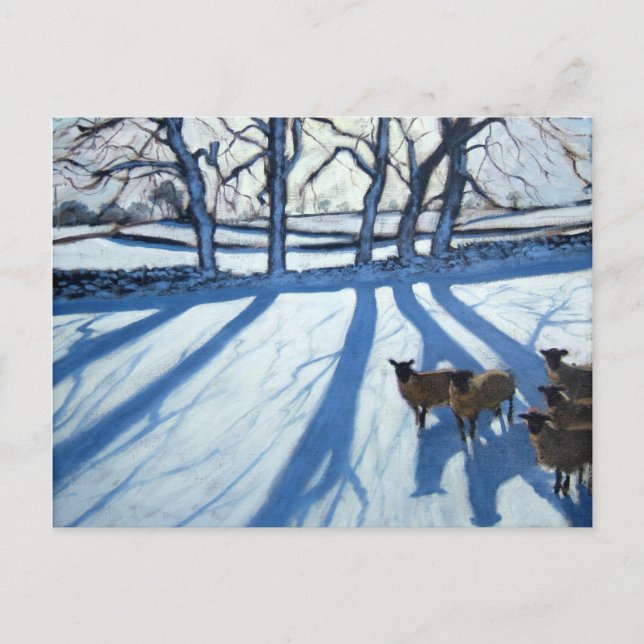 Sheep in snow Derbyshire Postcard (Front)