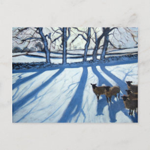 Sheep in snow Derbyshire Postcard