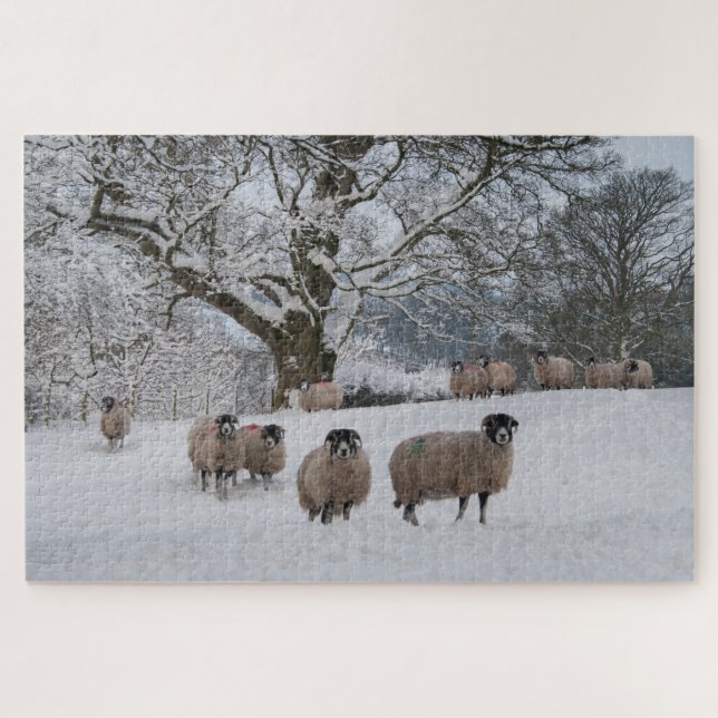 Sheep in Snow   Jigsaw Puzzle (Horizontal)