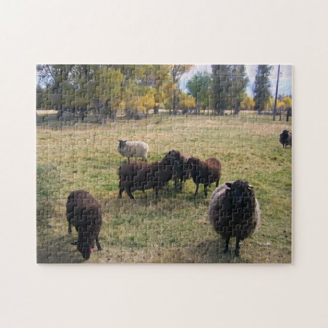 Sheep in the Pasture Jigsaw Puzzle (Horizontal)