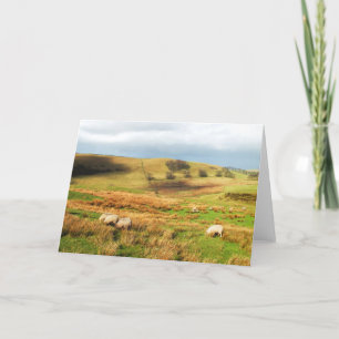 Sheep in the Peak District Holiday Card