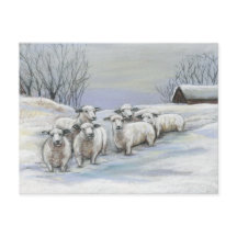 Sheep in the Snow Art Postcard