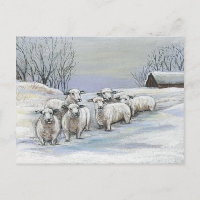Sheep in the Snow Art Postcard (Front)