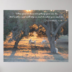 Sheep in the Texas Sunset,, Quote from Corinthians Poster