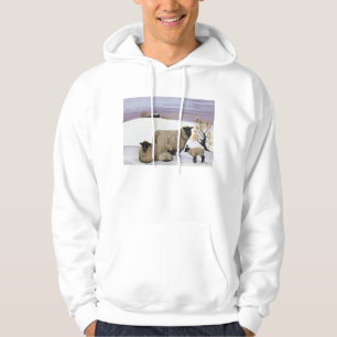 Sheep in Winter Hoodie