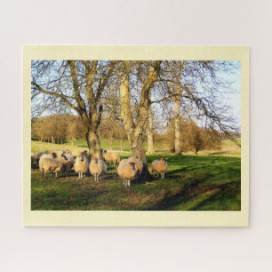 Sheep in winter jigsaw puzzle