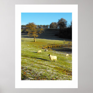 Sheep in winter poster