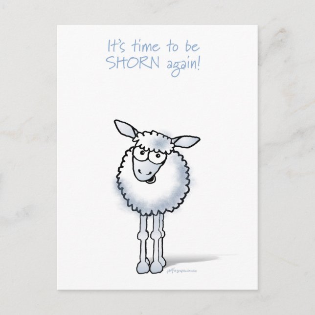 Sheep: It's time to be shorn again! Postcard (Front)