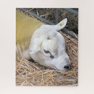 SHEEP JIGSAW PUZZLE