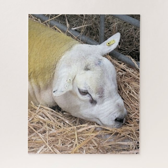 SHEEP JIGSAW PUZZLE (Vertical)