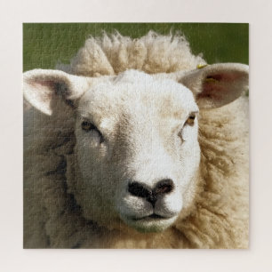 SHEEP JIGSAW PUZZLE
