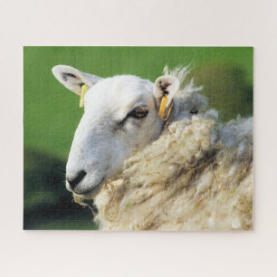 SHEEP JIGSAW PUZZLE