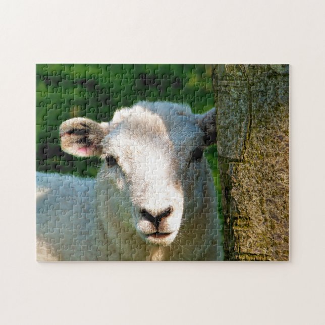 SHEEP JIGSAW PUZZLE (Horizontal)