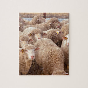 Sheep Jigsaw Puzzle