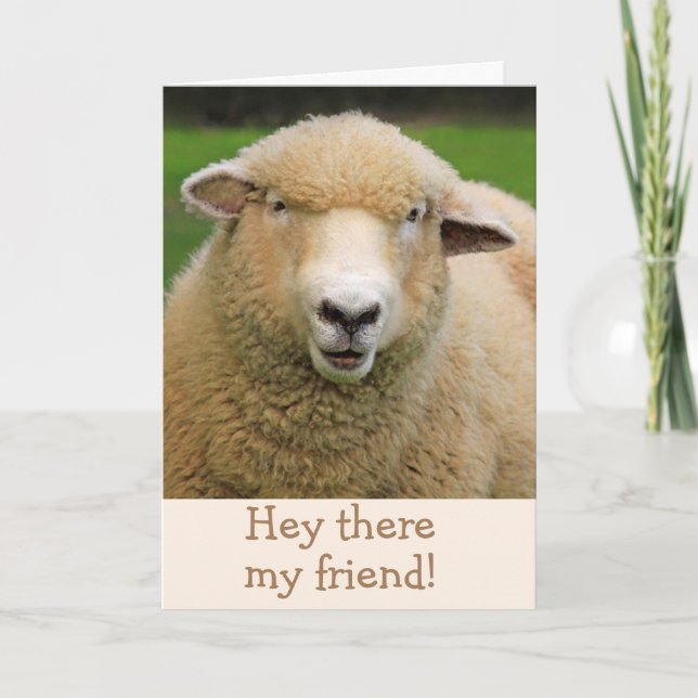 Sheep Joke Classic Humour Get Well Card (Front)
