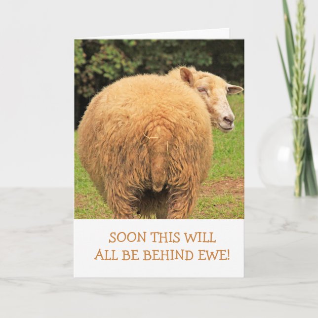 Sheep Joke Pun Funny Get Well Card (Front)