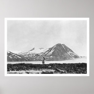 Sheep Kenai Peninsula Alaska 1912 Poster