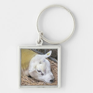 SHEEP KEY RING