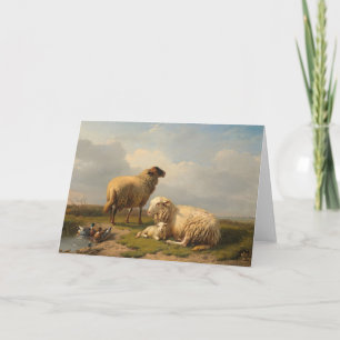Sheep Lamb and Ducks   Eugène Joseph Verboeckhoven Card