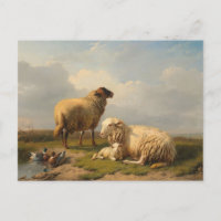 Sheep Lamb and Ducks | Eugène Joseph Verboeckhoven