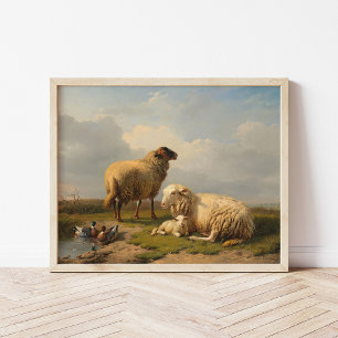 Sheep Lamb and Ducks   Eugène Joseph Verboeckhoven Poster