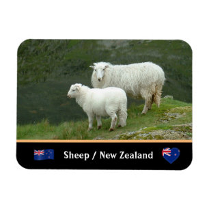 Sheep, Lamb & famous country animals / New Zealand Magnet