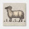 Sheep Lamb Farm Animal Vintage