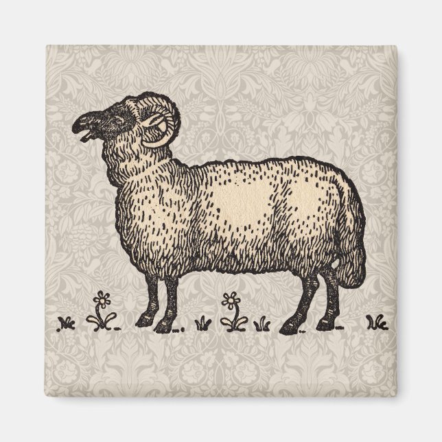 Sheep Lamb Farm Animal Vintage Magnet (Front)