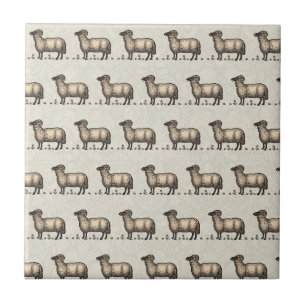 Sheep Lamb Farm Animal Vintage Tile