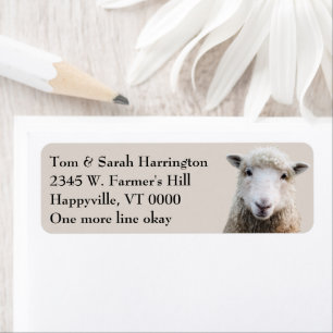 Sheep Lamb Farm Animals