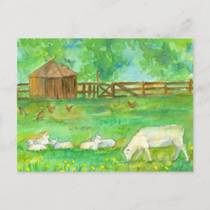 Sheep Lambs Chickens Farm Animals Painting Postcard