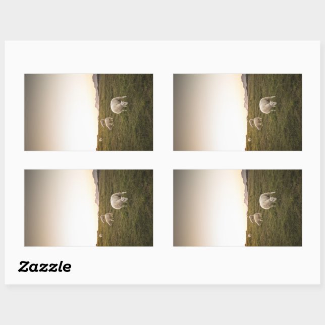 Sheep Lofoten Islands Nature Photo Rectangular Sticker (Sheet)