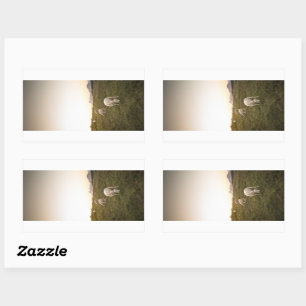 Sheep Lofoten Islands Nature Photo Rectangular Sticker