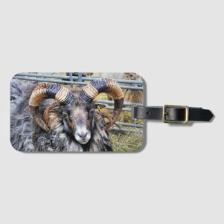 SHEEP LUGGAGE TAG