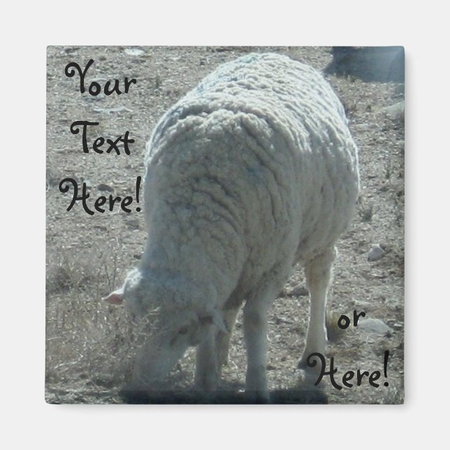 Sheep Magnet (Front)