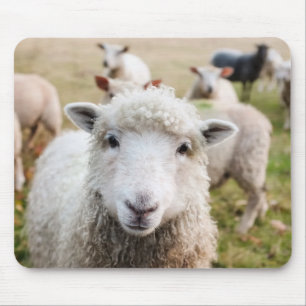 Sheep Mouse Mat