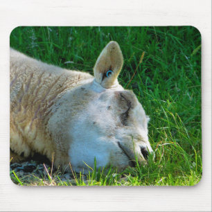 SHEEP MOUSE MAT