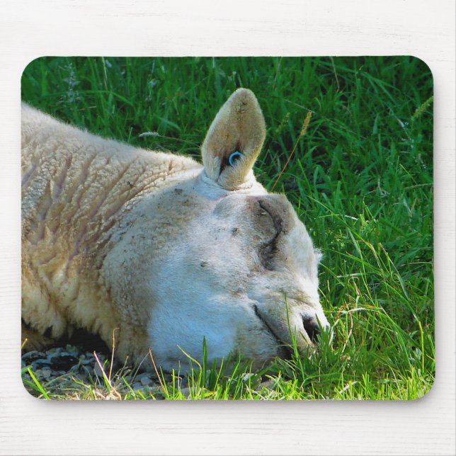 SHEEP MOUSE MAT (Front)
