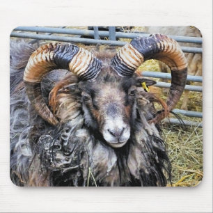 SHEEP MOUSE MAT