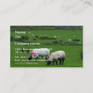 Sheep Near Deerpark Ireland Business Card