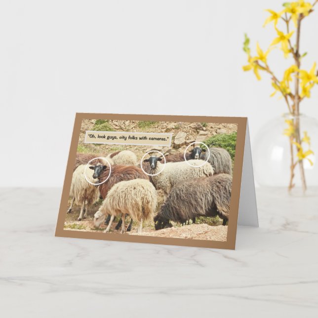 Sheep/ "Oh, Look, City Folks With Cameras"/HUMOR Card (Yellow Flower)