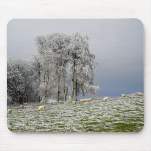 Sheep on a frosty hill mouse mat