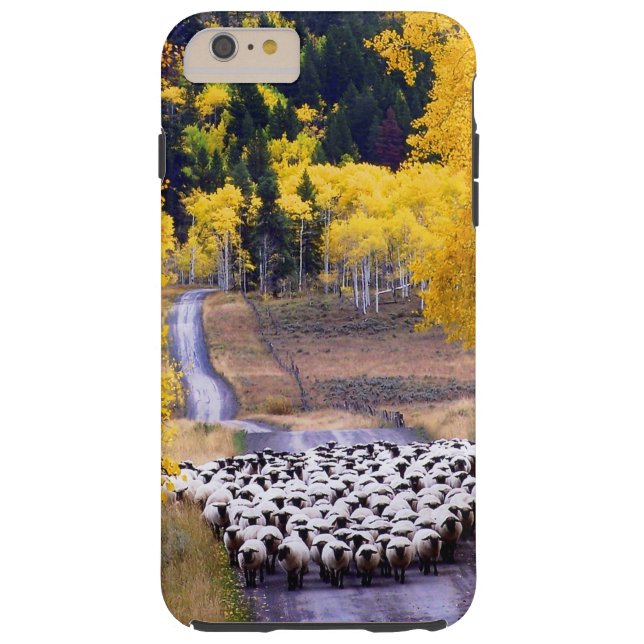 Sheep on Country Road Case-Mate iPhone Case (Back)