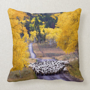 Sheep on Country Road Cushion