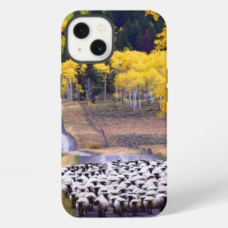 Sheep on Country Road iPhone 13 Case